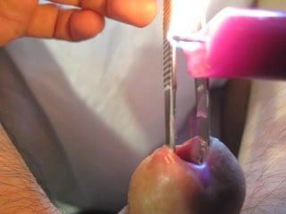 Urethra in hot  purple wax