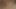 アナルプラグでミルフのアナルとチンポが膣で突かれる
