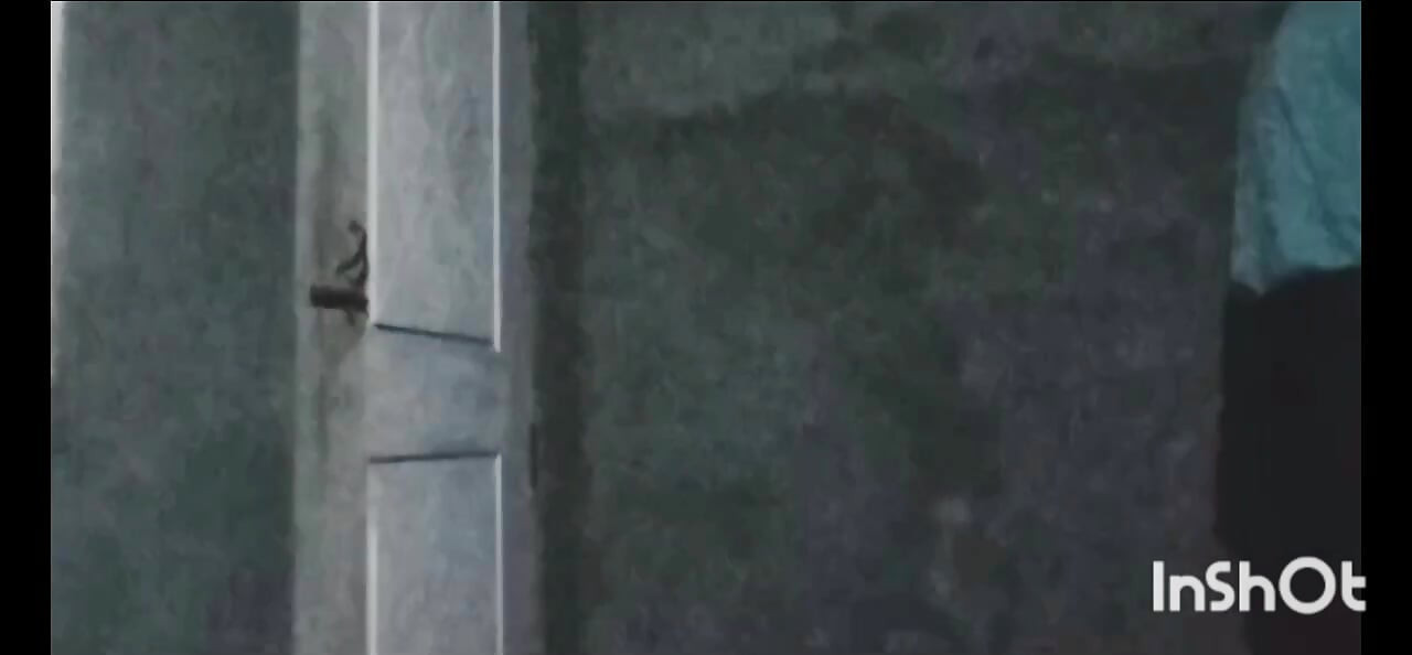 step-uncle local video