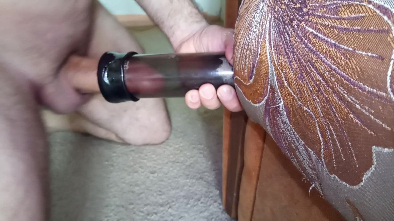 Penis
