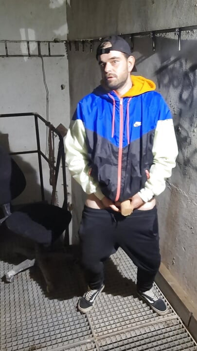 אוסף של סרטונים סקסיים בנעלי Vans