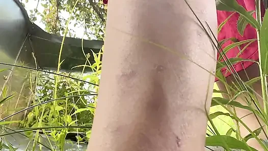 piss pee hana outside yard