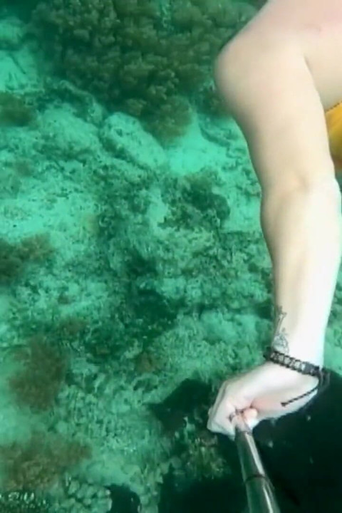 Snorkel dziwka: ciasne bikini, maska nurkowa i podwodny fin złośliwiec