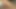 She’s Getting Fucked Bareback By Surfer With Xxl Cock And Takes All The Cum In The Mouth