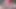 Sürtük ağız eğitimi teaser