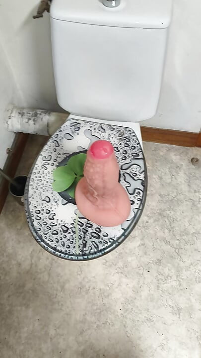 Dios Sodomie