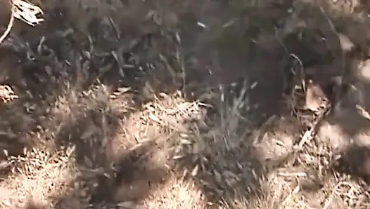 Young slut sucks a man in the country