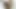 BLack Teen Ms. Convince Gives Blowjob and Gets Fucked