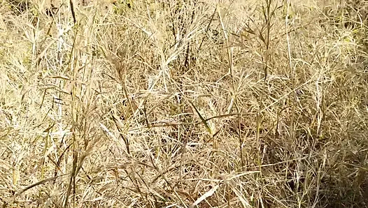 I Fucked My Old Girlfriend in the Forest