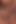 Shemale Carol Vendraminy striptease and masturbation