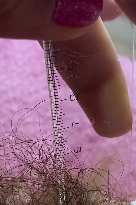 Bush measurement