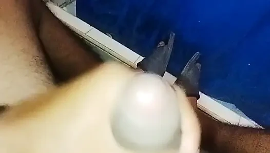 Genellikle sabahları böyle uyanıyorum