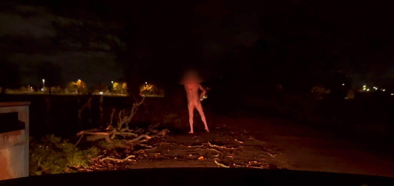 Seksi odijelo na cesti, twerkanje i drkanje