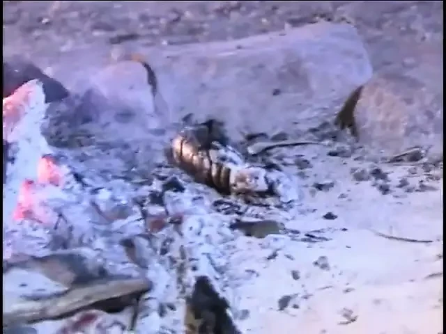 Frisky Asian Lesbians Suck Each Other's Tender Tits and Wet Twats Near Campfire