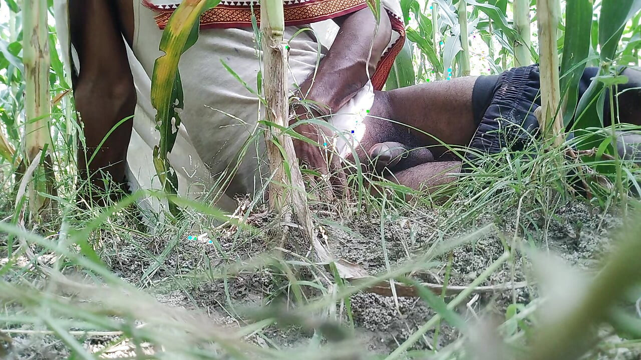 The village boy went to the cornfield and hit him hard