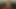 Porno yıldızları: tia tatlıları