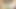この弱虫が仕事に行くことになっていた方法