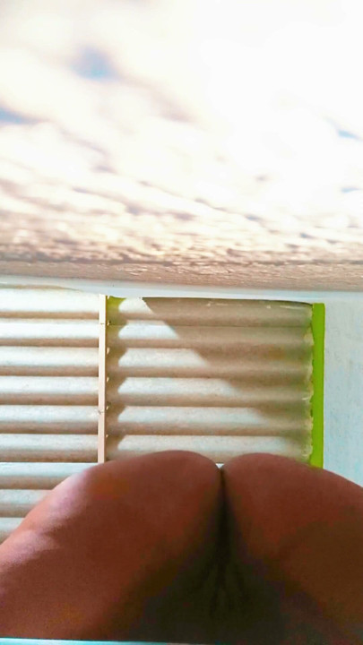 I secretly record my stepsister Alydenalificial while I fuck her in 4 until she has 1 delicious orgasm | Clip 3