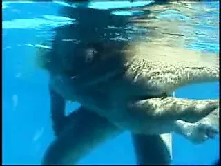 Sesso sott'acqua # 4 - piscina del vicino