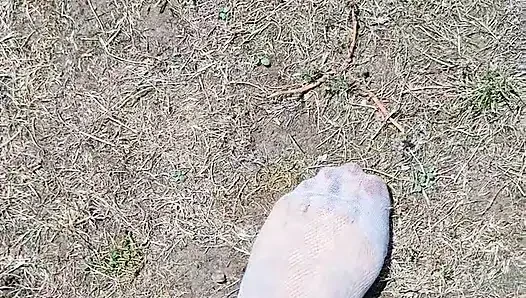 Kaki tiri lembut
