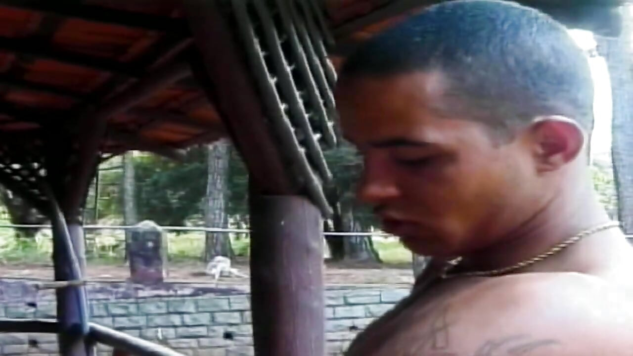 They fuck in the middle of the park meadow