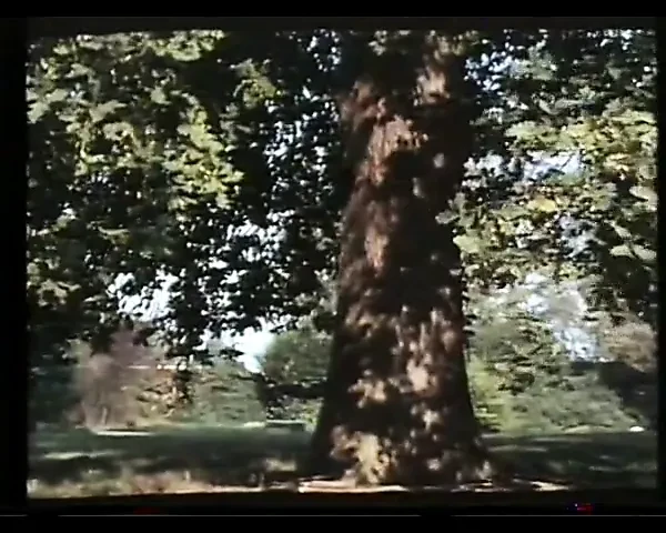 Вспомогательные парфюмерные игрушки (1977)