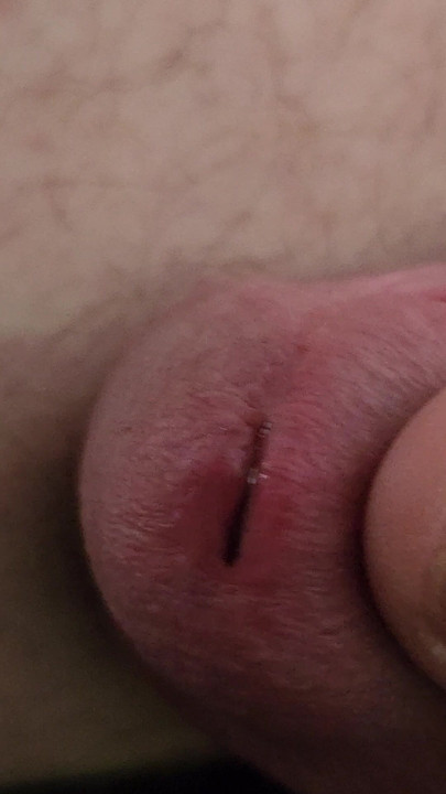 Extremely close up pre cum cock eye