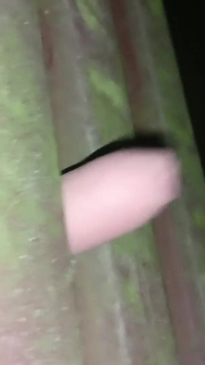 fucking the bank in the Park at night | Clip 1