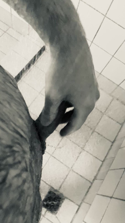 Precum