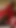 Key moment from "Black and Red Latex Masturbation and Blowjob"