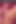 I Record A Video Asking My Friend To Come Fuck Me I'm So Horny I End Up Masturbating Completely