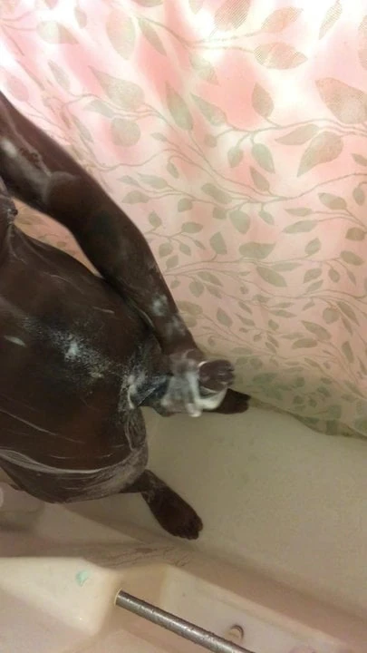 Horny and I need help