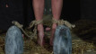 Pratinjau video