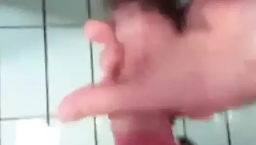 Homo erectus 279