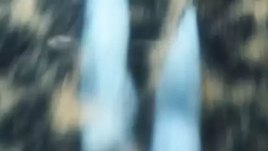 Sofia suescun, cumtribute