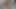 So His Face Is In My Cum!