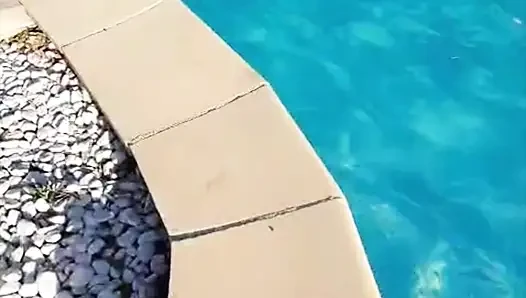 Französische fantasie am pool