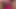Playing with stepsister&#039;s pussy! Big dildo! Close up