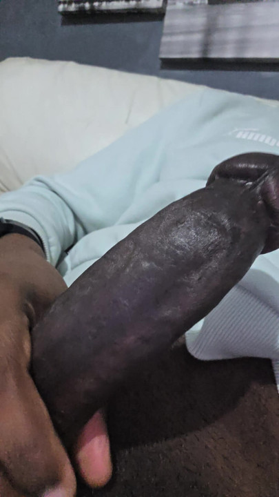 กิจวัตรประจําวันของ Ma petite