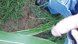 Walking outdoor, getting horny and jerk off on a corn leaf