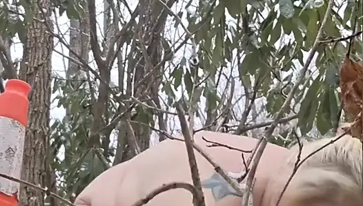 Она обожает снежные шишки в лесу, давая это ее хоиду