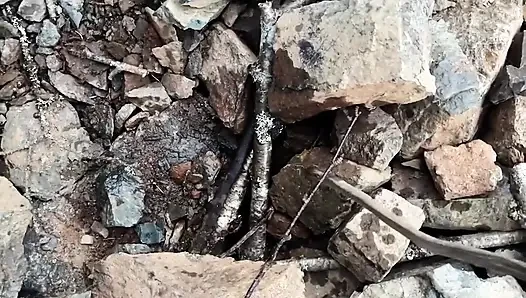 Pinkeln Auf Den Moutain, so Spaß