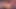 Petite Babe Takes Two Dildos In Her Tight Holes . Double Penetration. Female Orgasm.