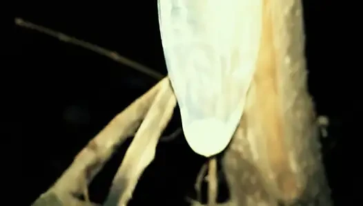Middle Eastern Twink with Big Dick Cums on Used Condoms at Public