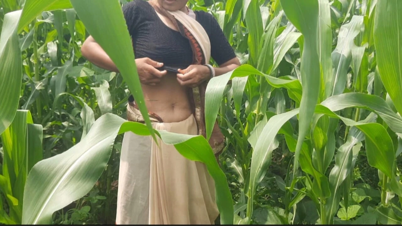 My real sister-in-law, the elder brother's housewife, had been asking for many days to make a mare in the open forest field and leave it, today I told my sister-in-law to farm maize in the open forest.