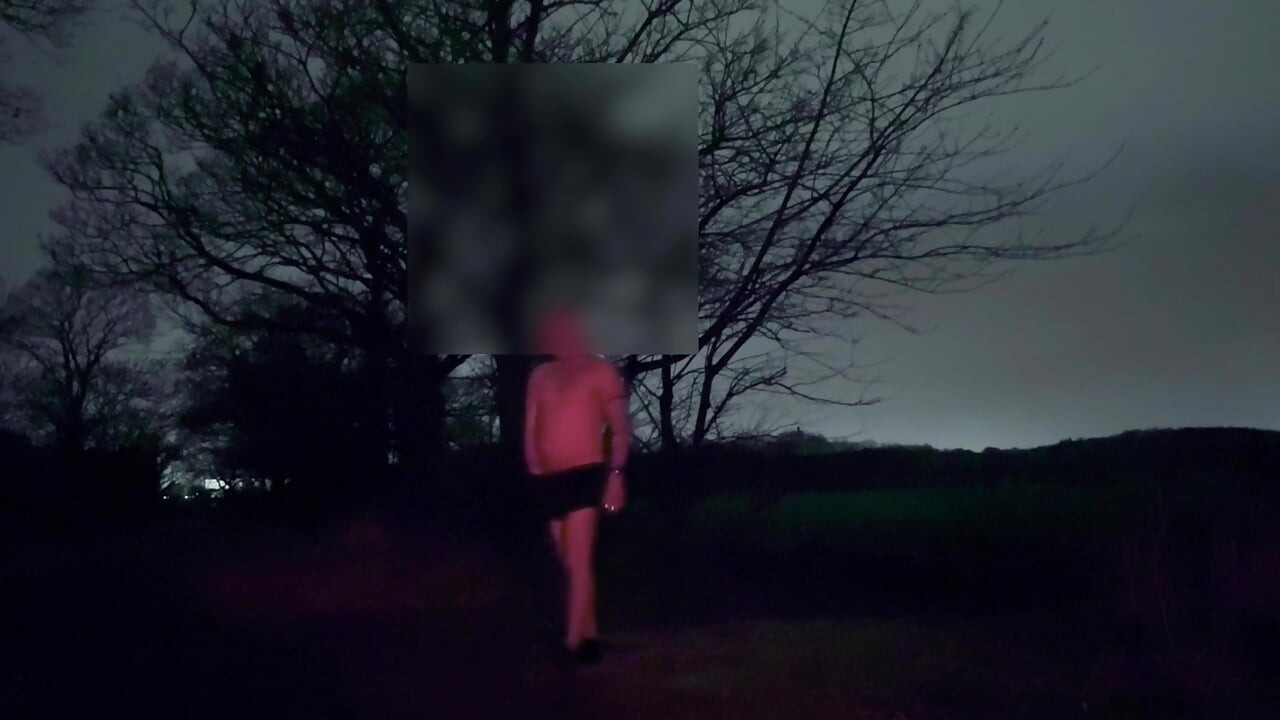 在公共場合赤裸晃動雞巴