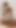Yumurta serme, anal fışkırtma, bacaklar zayıf
