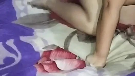 Seksi tavşan