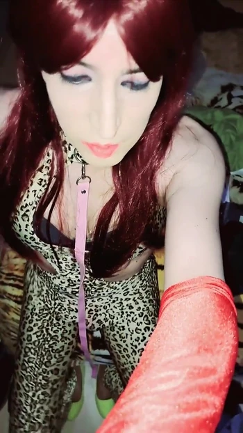 Before Sucking Cock