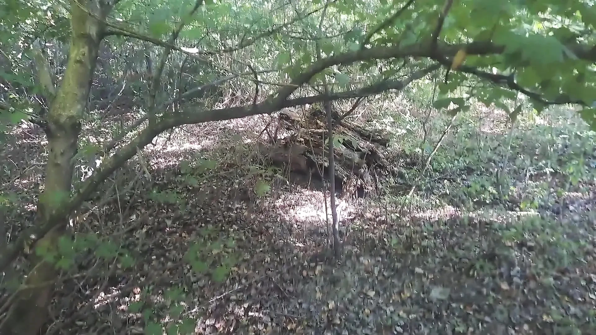 Pušio sam veliki kurac u šumi i bio prekriven spermom. POV svršavanje po faci